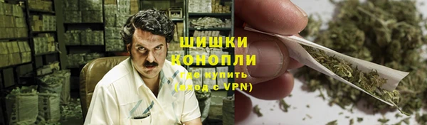 шишки Абинск