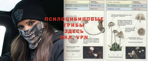 соль ск Алексин